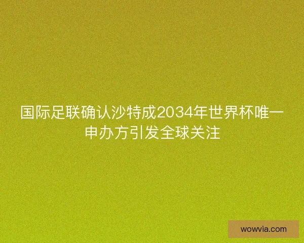 国际足联确认沙特成2034年世界杯唯一申办方引发全球关注 国际足联确认沙特成2034年世界杯唯一申办方引发全球关注
